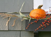 5 ярких цветочных ящиков