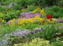 Чотири сезони ботанічного саду імені академіка Фоміна, Київ