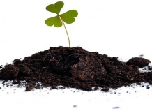 Почвенная смесь для комнатных и контейнерных растений