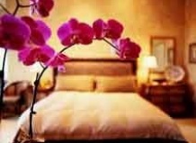 Цветы в интерьере