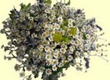 Аромат букета