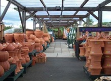 Школа комнатного садоводства. Терракотовые емкости для выращивания растений