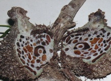 Ничего себе..!