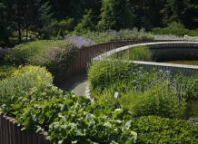 Сад - искушение запахом и вкусом