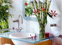 Цветы в ванной комнате