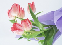 Как составить эффектный букет? Практическая флористика