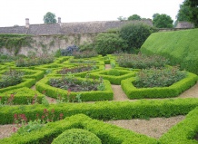 Самшит - незаменимое растение в ландшафтном дизайне
