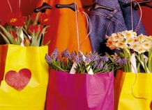 Я подарю тебе весну