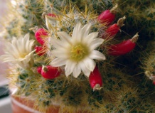 Об интересном в вопросительной форме