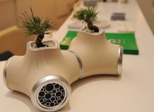 Оригинальные решения для вазонов