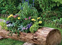 Контейнерное садоводство 