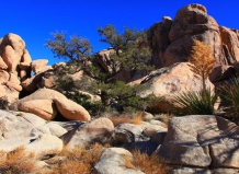 Коротко о нужном и интересном 