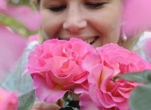 Новые сорта для розового рая