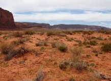 Не страшны нам ни холод, ни жара