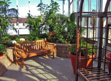 Офисный уголок природы