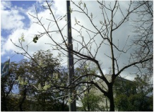 Ослабить и затормозить!