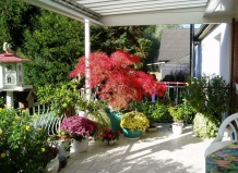 Сентябрьские работы на балконе и террасе