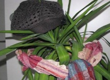 Суровое время для комнатных растений