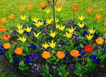 Маленькая клумба «изюминка» вашего сада