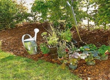 Осенняя посадка многолетников