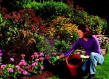 Как сэкономить на мульче