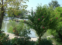 Цветущий сад в дельте Дуная