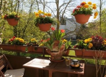 А на балконе уже весна!