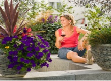 Феерия однолетних цветов