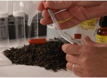 Улучшение почвы на садовом участке