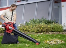 Секреты поддержания чистоты на садовом участке