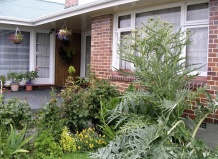 Архитектурные колючки