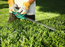 Консервация садового инвентаря и механизмов на зиму