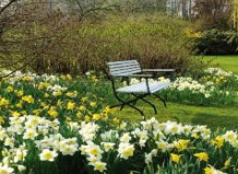 Без ума от весны. Часть первая: Ранняя весна