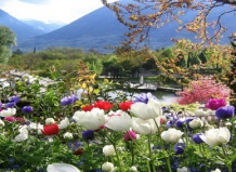 Без ума от весны. Часть вторая: Разгар весны