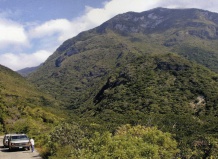 Кактусы Мексики: особенности произрастания