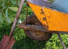 Осень. Контрольные вопросы