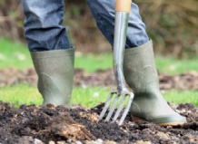 Готовим сад к зиме