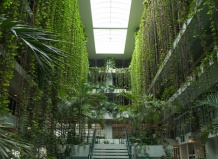 Растения в интерьере гостинниц