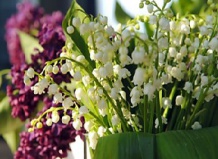 Корзина цветущих ландышей под Новый Год 