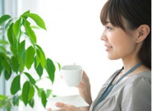 Преимущества от комнатных растений 