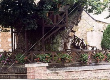 Дуб-часовня во Франции