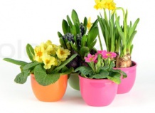 Женское счастье в подарок