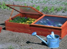 Парник своими руками: шаг за шагом