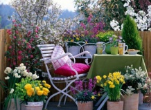 Весенние цветы на балконе и террасе