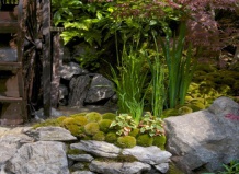 Лучшие сады Челси-2014