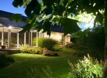 Цветы ночи – рай в лунном свете