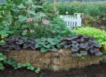 Садоводство на соломе