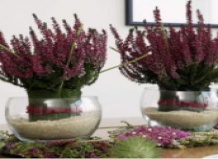 Вереск в осеннем декоре интерьера