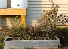 Готовим мини-огород к зиме