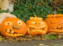 Как выбрать и хранить тыкву